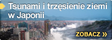 Tsunami szaleje na Pacyfiku.
