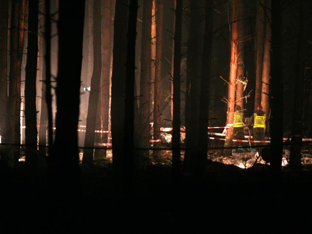 Po uderzeniu w ziemię samolot stanął w płomieniach