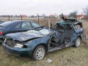 Pod Ciechanowem drzewo spadło wprost na samochód zabijając kierowcę