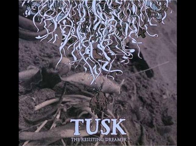 Tusk wydał nową, świetną płytę