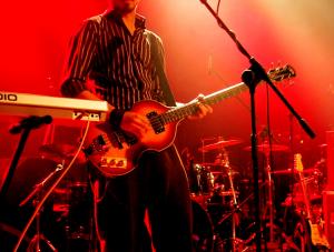 Koncert zespołu Muchy