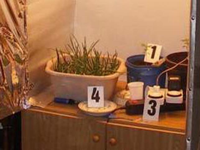 17-letni narkoman założył plantację marihuany w szafie