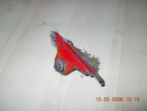 To ponoć fragment zderzaka spalonego ferrari. Czy pochodzi z auta Zientarskiego?