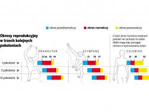 Dlaczego kobiety przechodzą menopauzę i tracą płodność?