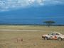 Rajd Safari rok 1974. Lancer 1600 GSR