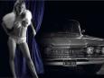 Miss stycznia 2008 z kalendarza Liqui Moly