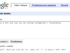 Google Translate już z językiem polskim