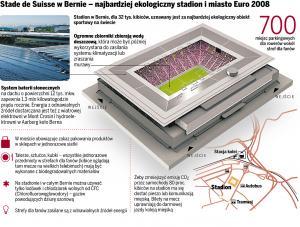 Wszyscy piłkarscy kibice podczas Euro 2008 będą zieloni