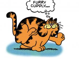 Garfield kończy 30 lat