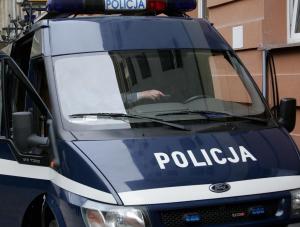 Odnaleziono zaginioną w lesie czterolatkę