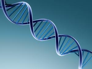 DNA pomoże nam dobrać optymalnego partnera?