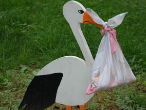 Co łykać, zanim przyleci bocian?
